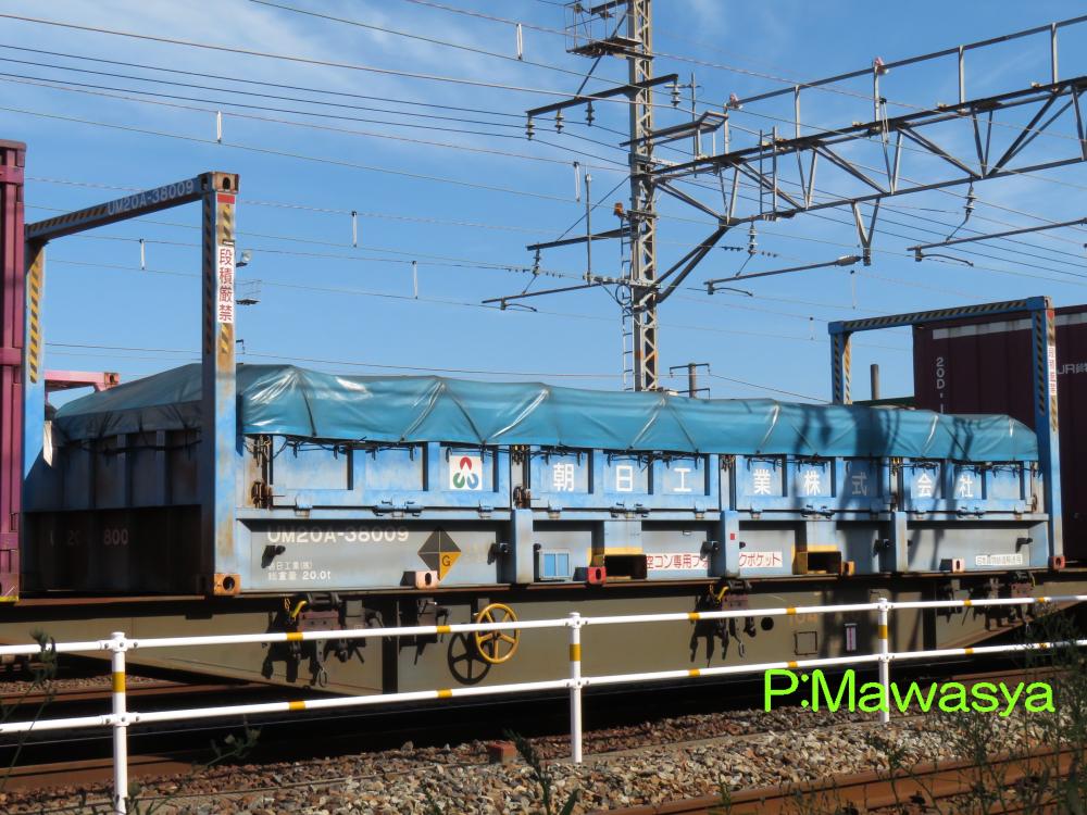 専用です。 ポケドール セット PREORDER CLOSED] 1/40 Zukan Figure [ZX Studio